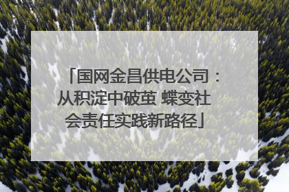 国网金昌供电公司：从积淀中破茧 蝶变社会责任实践新路径