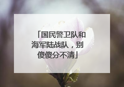 国民警卫队和海军陆战队，别傻傻分不清