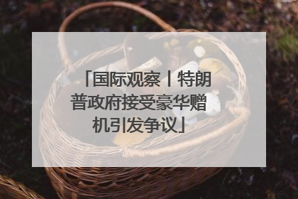 国际观察丨特朗普政府接受豪华赠机引发争议