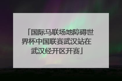 国际马联场地障碍世界杯中国联赛武汉站在武汉经开区开赛