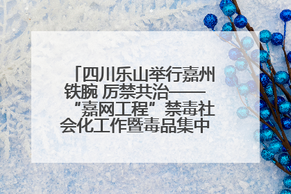 四川乐山举行嘉州铁腕 厉禁共治——“嘉网工程”禁毒社会化工作暨毒品集中销毁启动仪式