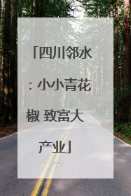 四川邻水：小小青花椒 致富大产业