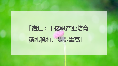 宿迁：千亿级产业培育稳扎稳打、步步攀高