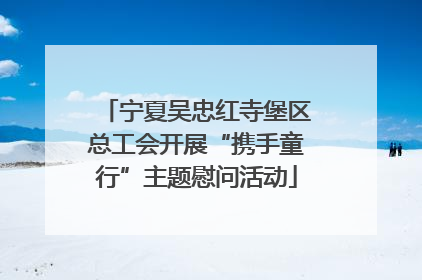 宁夏吴忠红寺堡区总工会开展“携手童行”主题慰问活动