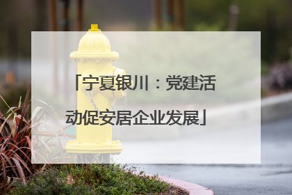 宁夏银川：党建活动促安居企业发展