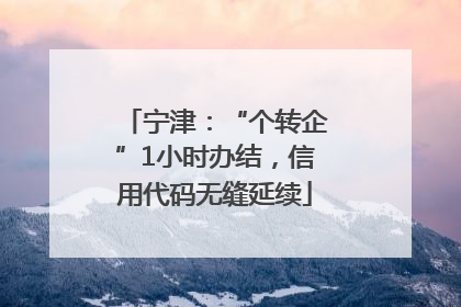 宁津：“个转企”1小时办结，信用代码无缝延续