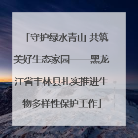 守护绿水青山 共筑美好生态家园——黑龙江省丰林县扎实推进生物多样性保护工作