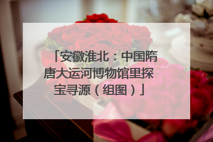 安徽淮北：中国隋唐大运河博物馆里探宝寻源（组图）