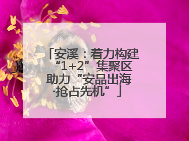 安溪：着力构建“1+2”集聚区 助力“安品出海·抢占先机”