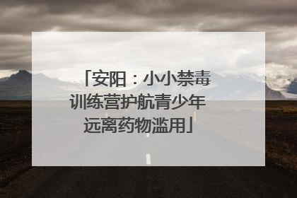 安阳：小小禁毒训练营护航青少年远离药物滥用