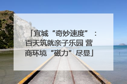 宜城“奇妙速度”：百天筑就亲子乐园 营商环境“磁力”尽显