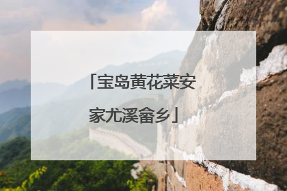 宝岛黄花菜安家尤溪畲乡