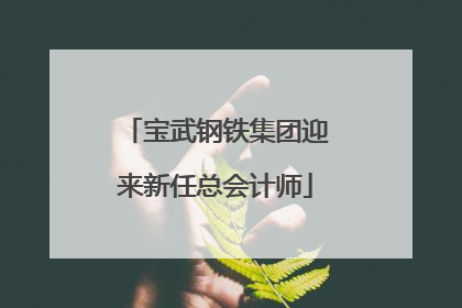 宝武钢铁集团迎来新任总会计师