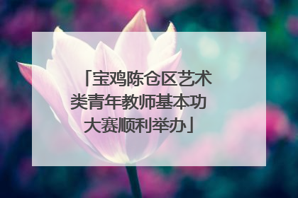 宝鸡陈仓区艺术类青年教师基本功大赛顺利举办
