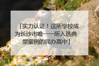 实力认证！这所学校成为长沙市唯一一所入选典型案例的民办高中