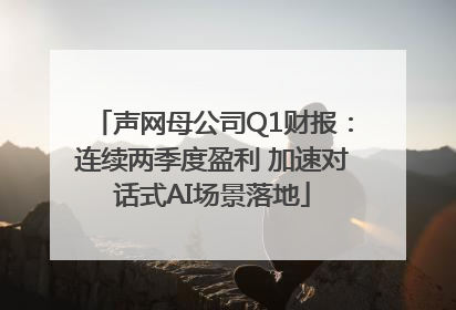 声网母公司Q1财报：连续两季度盈利 加速对话式AI场景落地