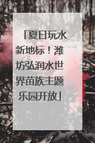 夏日玩水新地标！潍坊弘润水世界苗族主题乐园开放