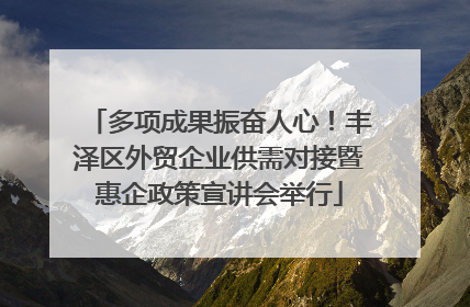 多项成果振奋人心！丰泽区外贸企业供需对接暨惠企政策宣讲会举行