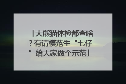大熊猫体检都查啥？有请模范生“七仔”给大家做个示范