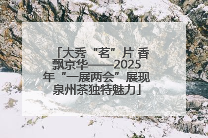 大秀“茗”片 香飘京华——2025年“一展两会”展现泉州茶独特魅力