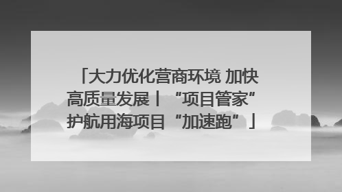 大力优化营商环境 加快高质量发展丨“项目管家”护航用海项目“加速跑”