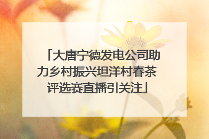 大唐宁德发电公司助力乡村振兴坦洋村春茶评选赛直播引关注