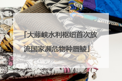 大藤峡水利枢纽首次放流国家濒危物种唇鲮