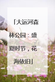 大运河森林公园：盛夏时节，花海依旧