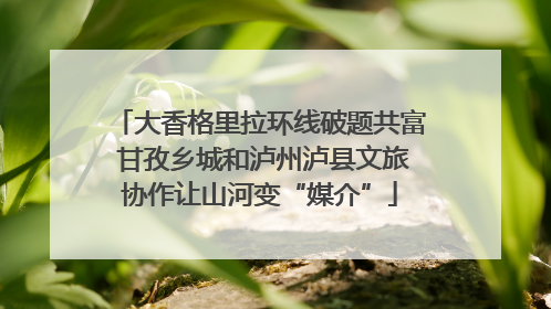 大香格里拉环线破题共富 甘孜乡城和泸州泸县文旅协作让山河变“媒介”