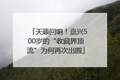 天籁回响！嘉兴500岁的“收藏界顶流”为何再次出圈