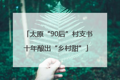 太原“90后”村支书十年酿出“乡村甜”