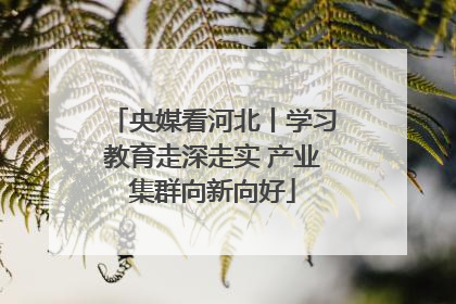 央媒看河北丨学习教育走深走实 产业集群向新向好