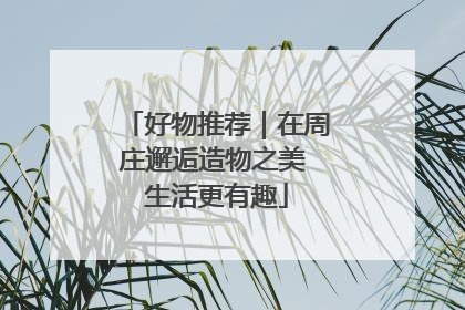 好物推荐｜在周庄邂逅造物之美 生活更有趣