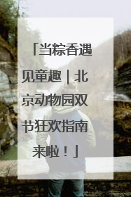 当粽香遇见童趣｜北京动物园双节狂欢指南来啦！