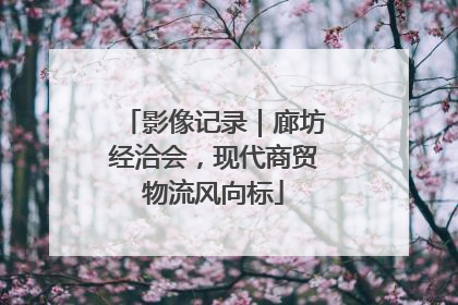 影像记录｜廊坊经洽会，现代商贸物流风向标