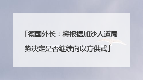 德国外长：将根据加沙人道局势决定是否继续向以方供武