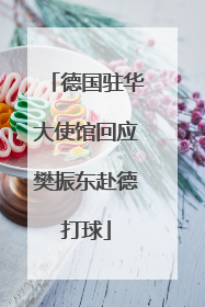 德国驻华大使馆回应樊振东赴德打球