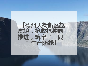 德州天衢新区赵虎镇：抢收抢种同推进，筑牢“三夏”生产防线