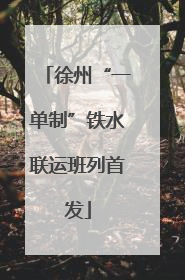 徐州“一单制”铁水联运班列首发