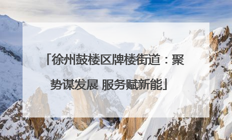 徐州鼓楼区牌楼街道：聚势谋发展 服务赋新能