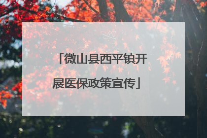 微山县西平镇开展医保政策宣传