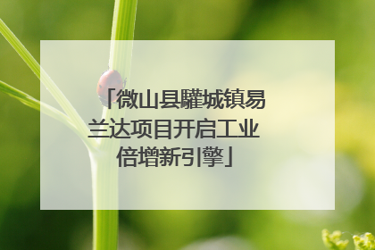 微山县驩城镇易兰达项目开启工业倍增新引擎