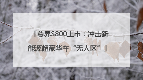 尊界S800上市：冲击新能源超豪华车“无人区”