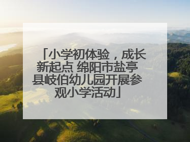 小学初体验，成长新起点 绵阳市盐亭县岐伯幼儿园开展参观小学活动