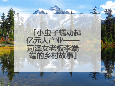 小虫子蠕动起亿元大产业——菏泽女老板李端端的乡村故事