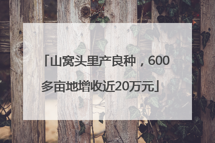 山窝头里产良种，600多亩地增收近20万元