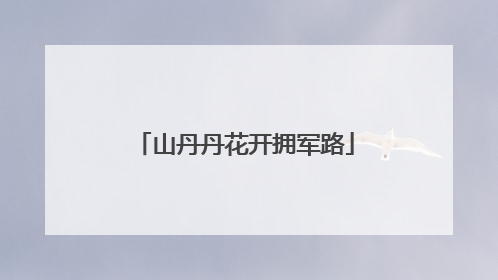 山丹丹花开拥军路