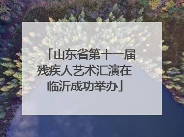 山东省第十一届残疾人艺术汇演在临沂成功举办