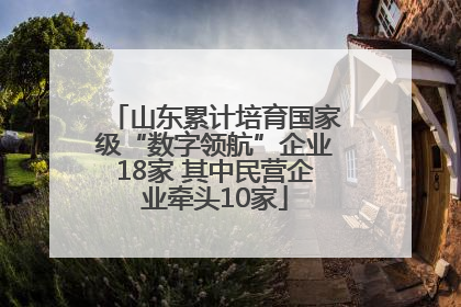山东累计培育国家级“数字领航”企业18家 其中民营企业牵头10家