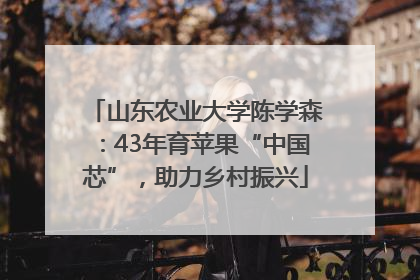 山东农业大学陈学森：43年育苹果“中国芯”，助力乡村振兴